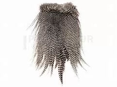 Ewing Grizzly Rooster Whole Saddles Saddle Hackle, Hen Hackle, Asst. Feathers