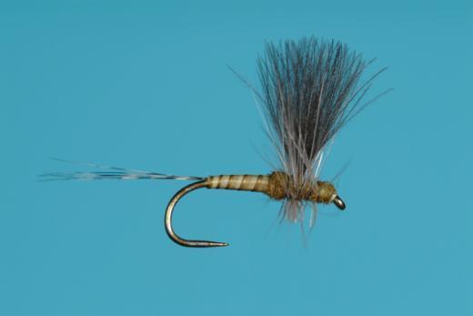 CDC Baetis Thorax Dun Dry Fly