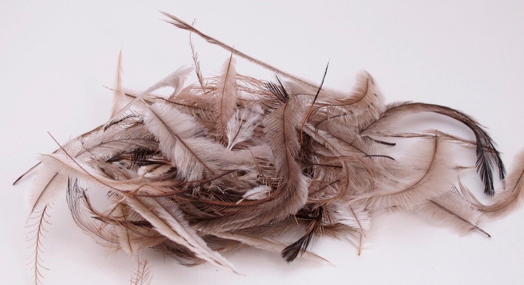 Nature's Spirit Emu Natural