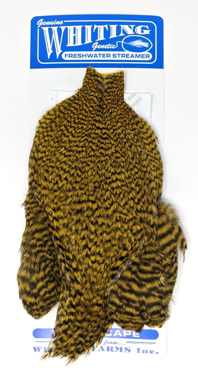 Whiting American Freshwater Streamer Cape Grizzly Golden Olive Saddle Hackle, Hen Hackle, Asst. Feathers