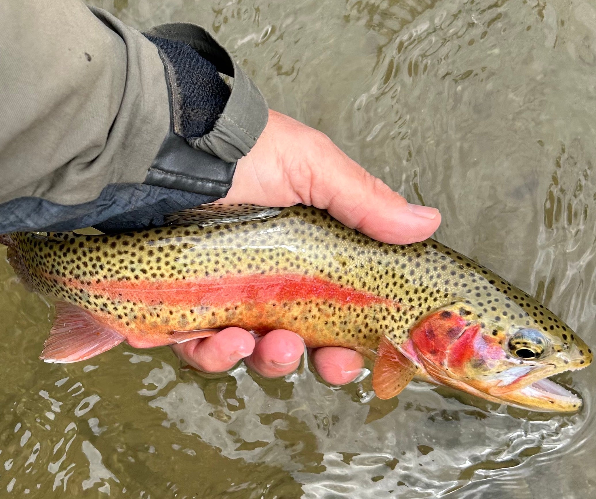 Black Hills Fly Fishing Report – May 23rd, 2025
