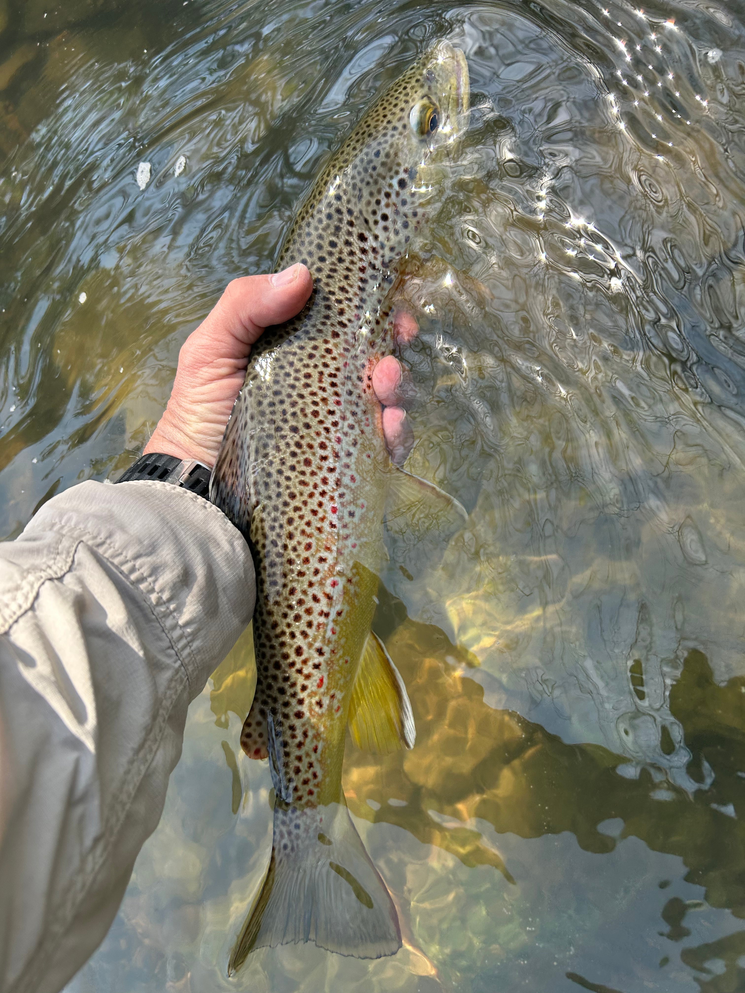 Black Hills Fishing Report May 13th 2025