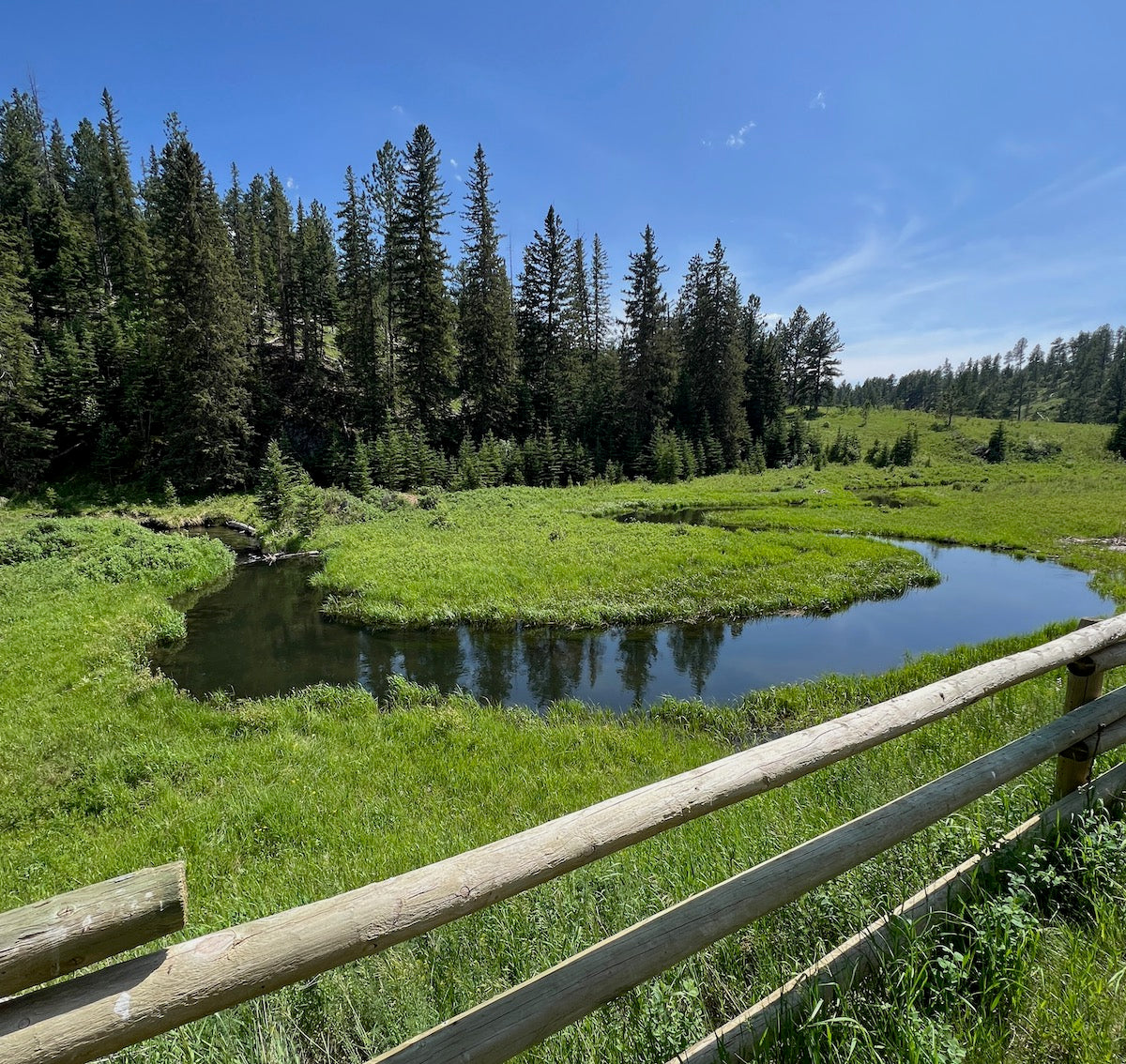 Black Hills Fly Fishing Report – July 2, 2025