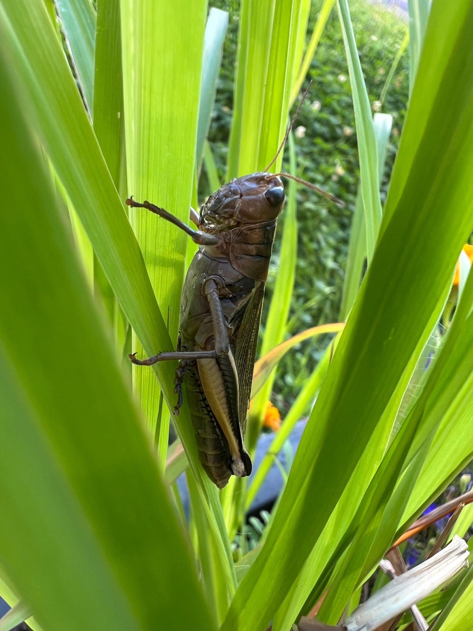 Fishing Report August 29th 2025