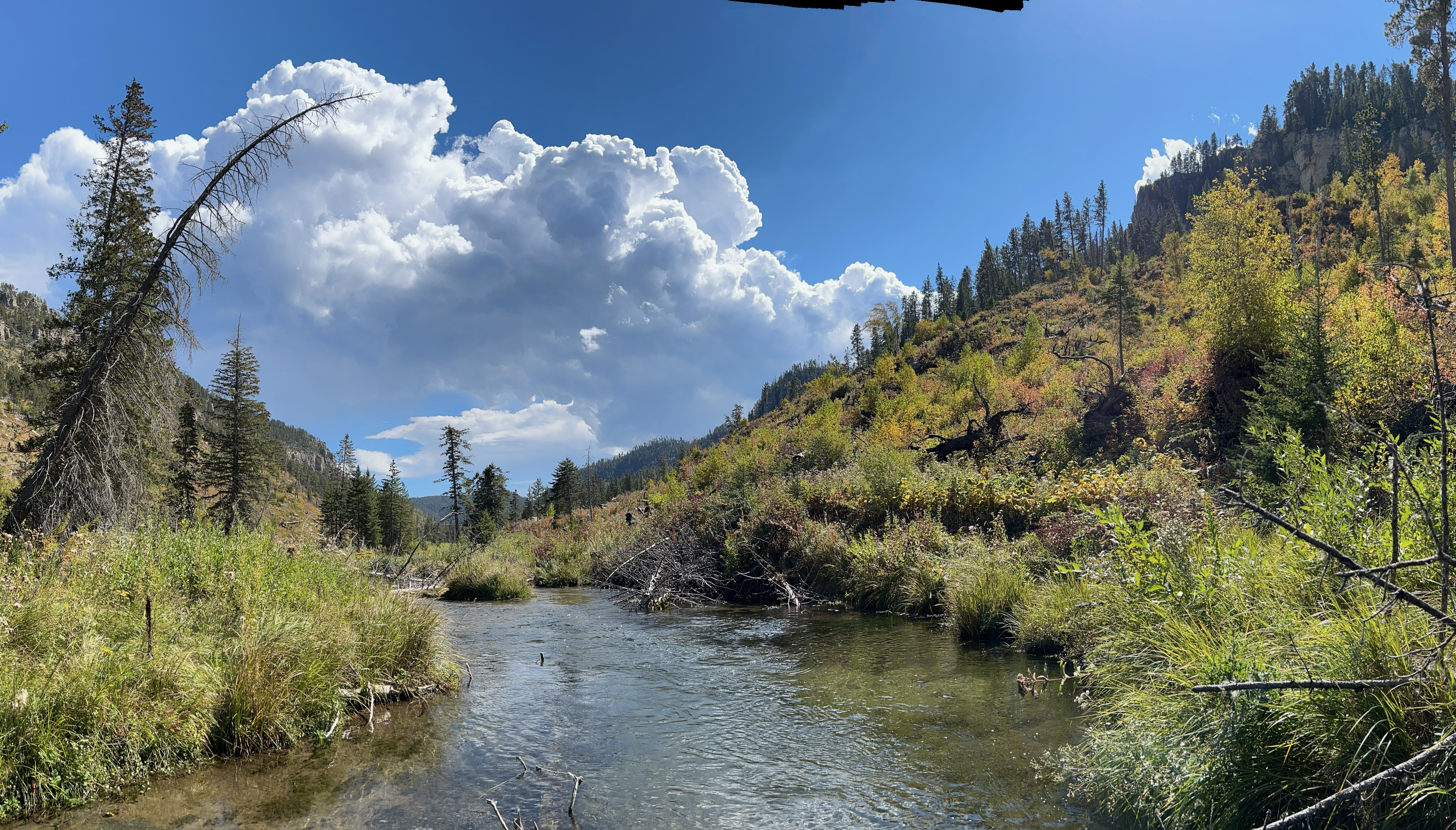 Black Hills Fly Fishing Report – September 13, 2025