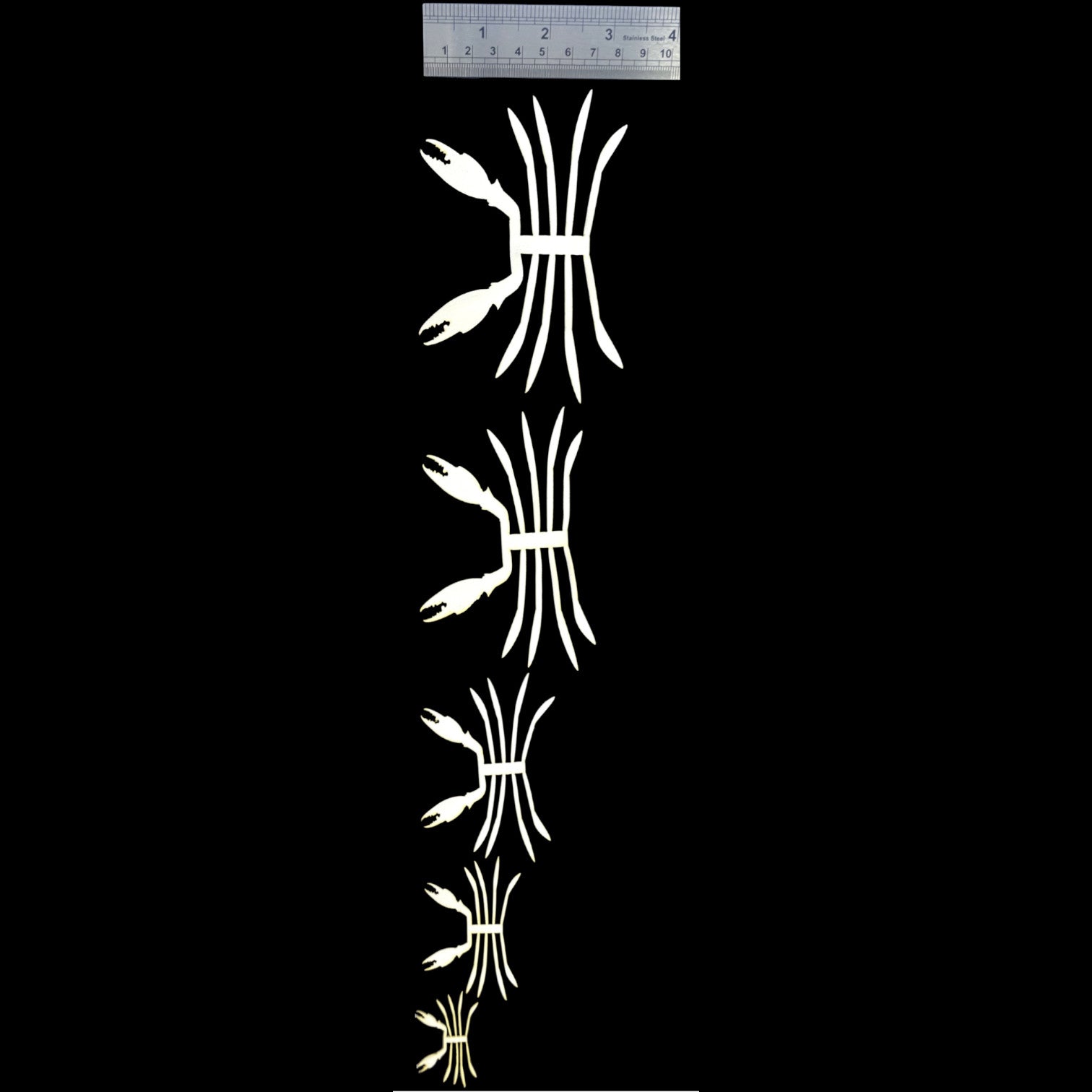 ABC Crab Legs & Claws Skeletons Legs, Wings, Tails