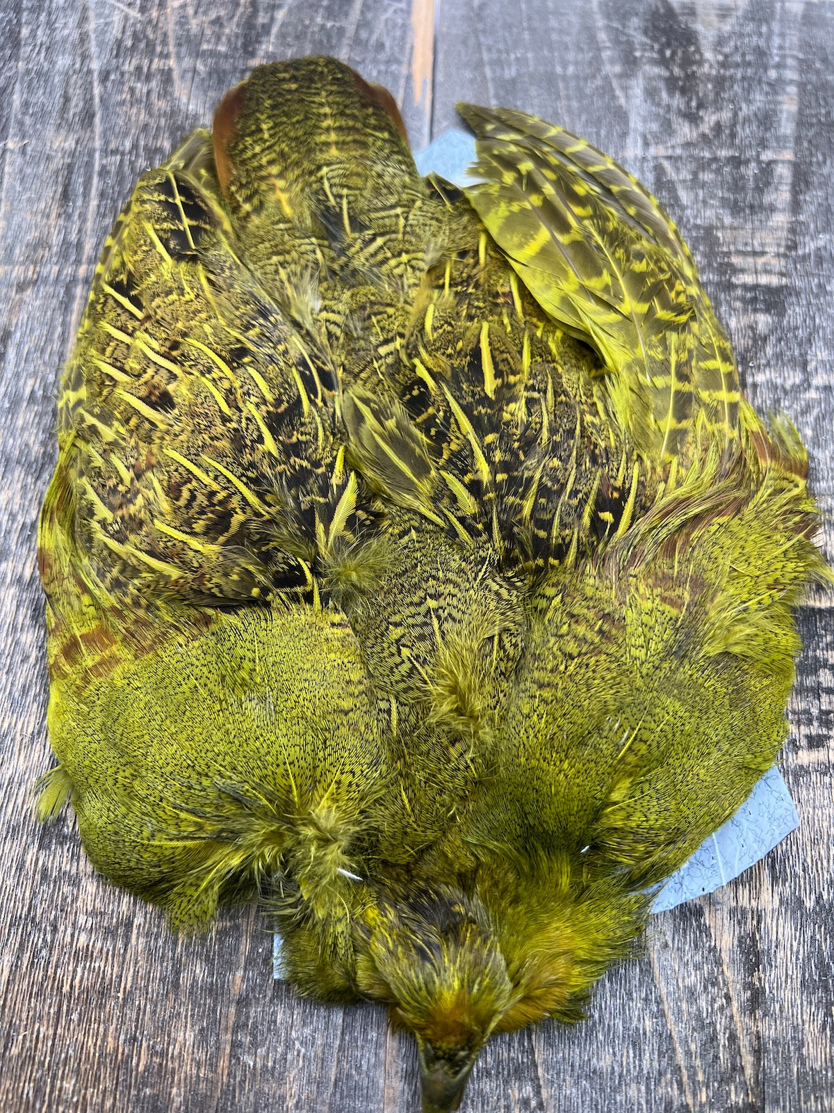 Hungarian Partridge Skin Select Olive Saddle Hackle, Hen Hackle, Asst. Feathers