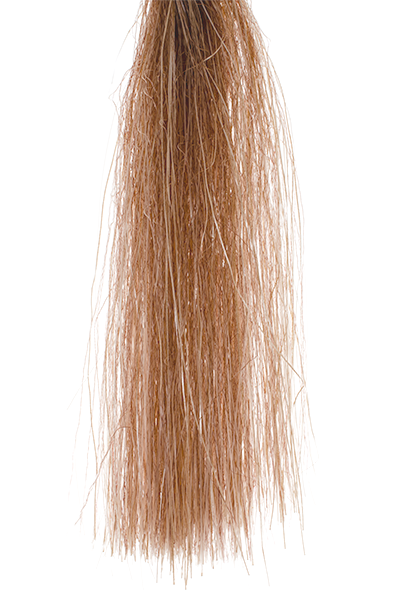 MFC Senyo's Shadow Fiber Brown Flash, Wing Materials