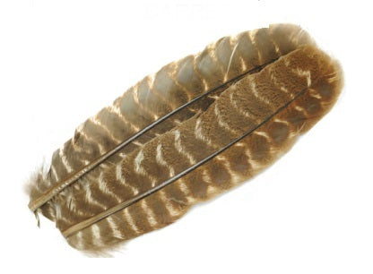 Wapsi Ozark Turkey Quill Saddle Hackle, Hen Hackle, Asst. Feathers