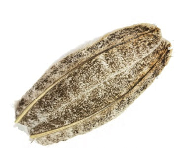 Wapsi Turkey Wing Quill Mottled Oak #3 Saddle Hackle, Hen Hackle, Asst. Feathers