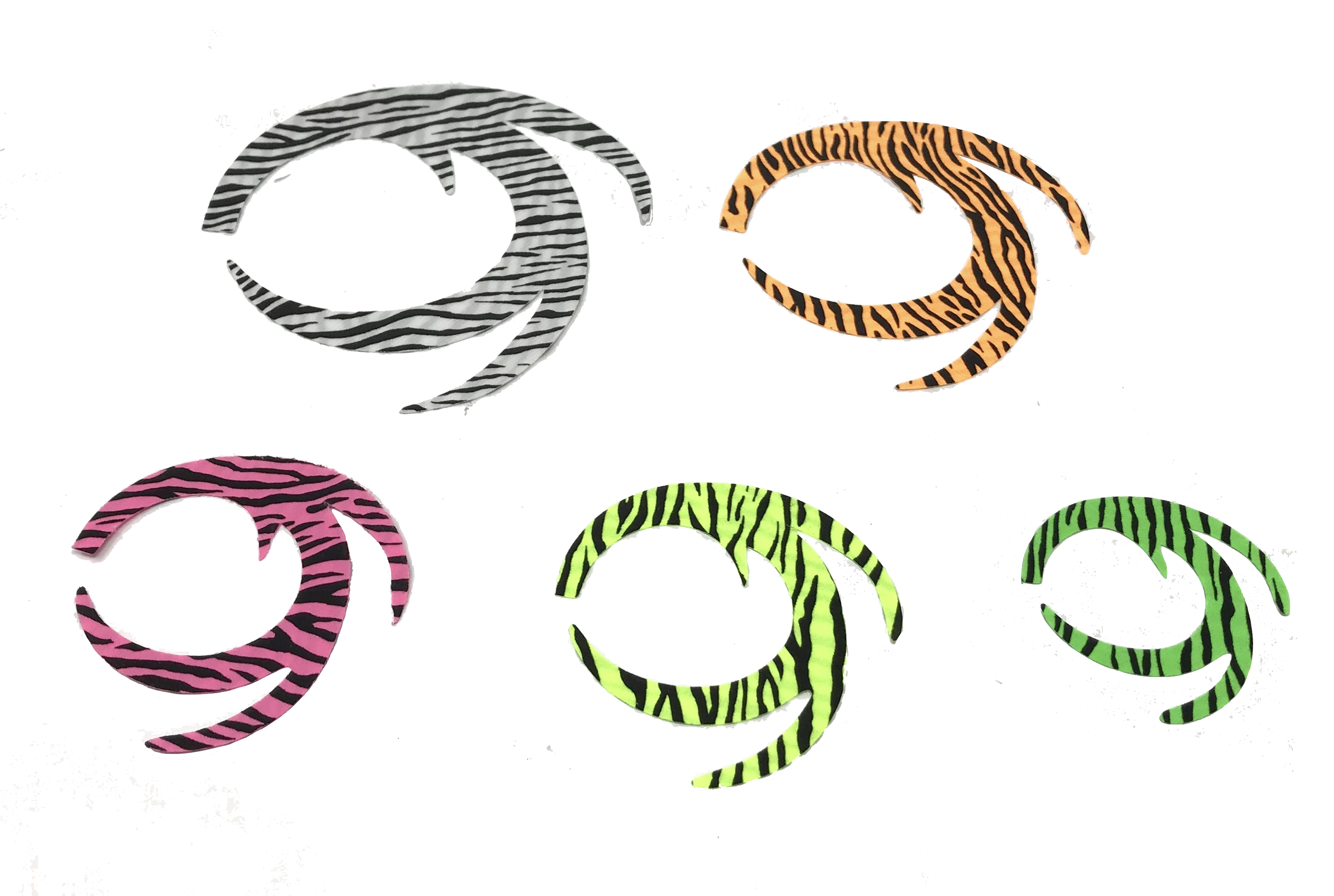 Barred Pacchiarini's Dragon Tails Fl. Orange / XL Legs, Wings, Tails