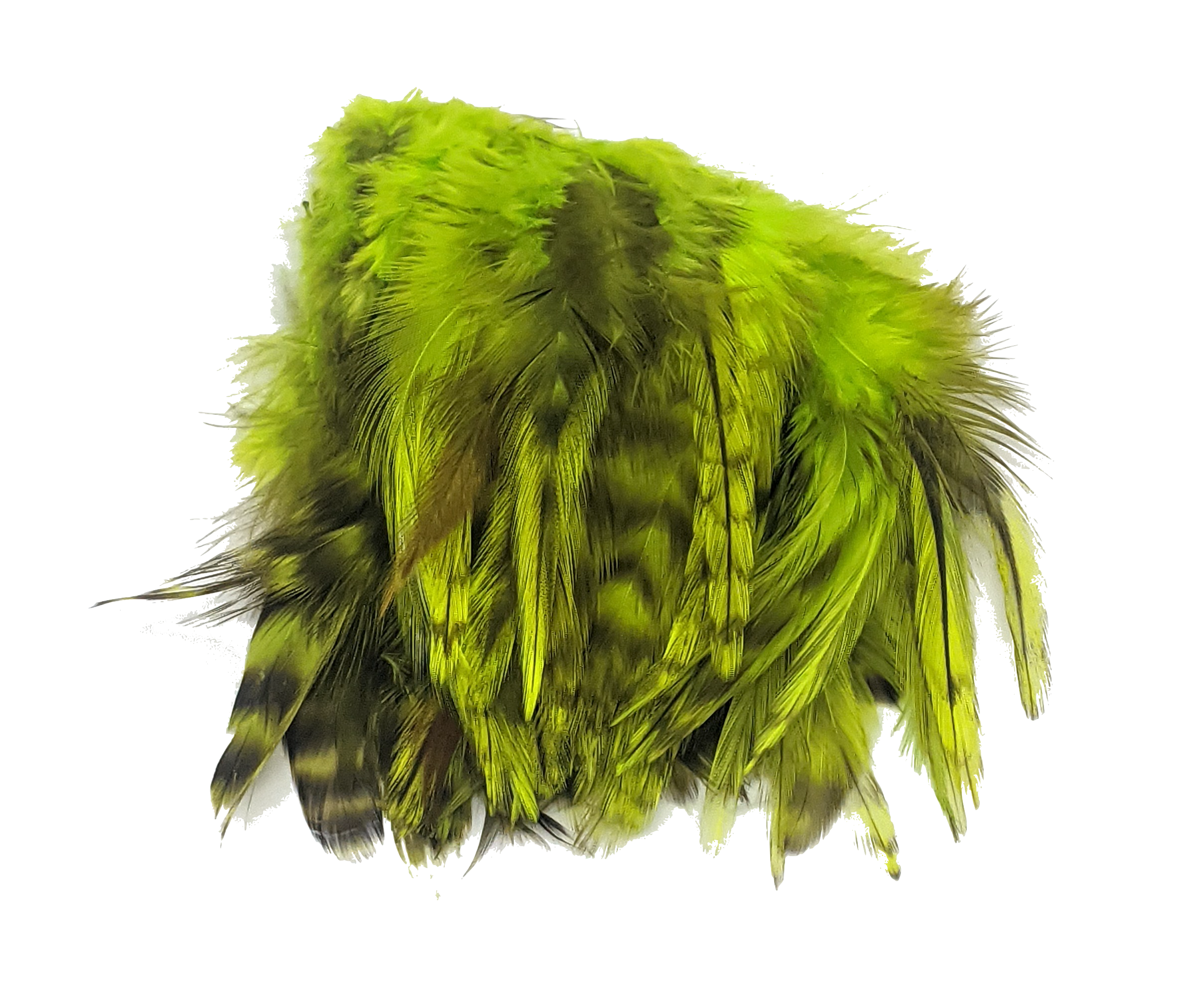 Hareline Strung 4-6 inch Grizzly Variant Saddle Hackle Fl Chartreuse #127 Saddle Hackle, Hen Hackle, Asst. Feathers